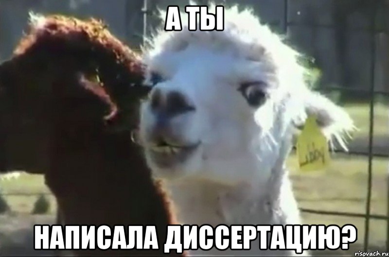а ты написала диссертацию?