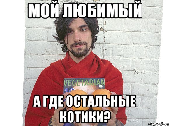 мой любимый а где остальные котики?