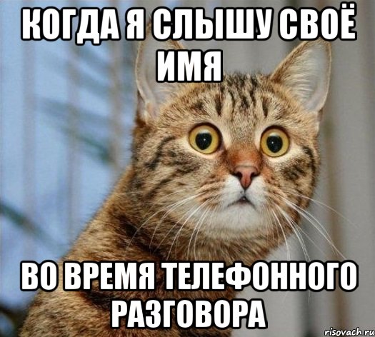 когда я слышу своё имя во время телефонного разговора, Мем asd