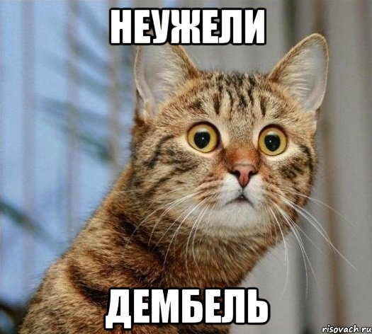 неужели дембель, Мем asd