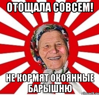 отощала совсем! не кормят окоянные барышню, Мем  бабуля