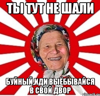 ты тут не шали буйный,иди выёбывайся в свой двор, Мем  бабуля