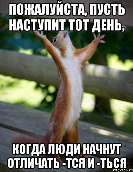 http://risovach.ru/upload/2013/06/mem/belka_21325803_orig_.jpg