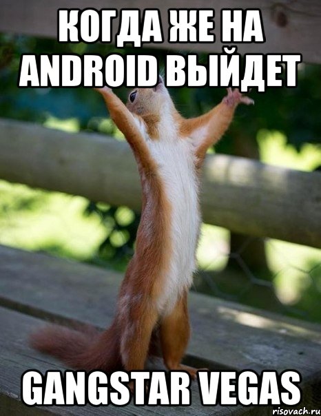 когда же на android выйдет gangstar vegas, Мем    белка молится