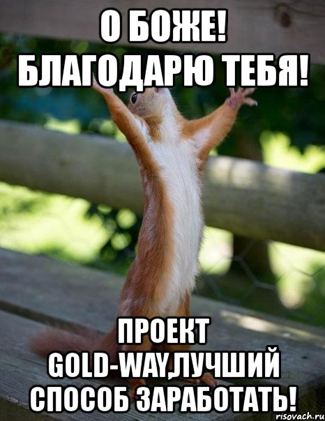 о боже! благодарю тебя! проект gold-way,лучший способ заработать!, Мем    белка молится