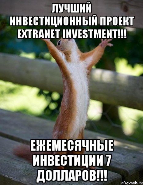 лучший инвестиционный проект extranet investment!!! ежемесячные инвестиции 7 долларов!!!, Мем    белка молится