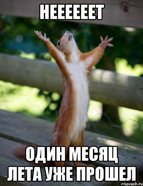 неееееет один месяц лета уже прошел, Мем    белка молится