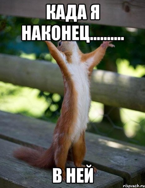када я наконец.......... в ней, Мем    белка молится