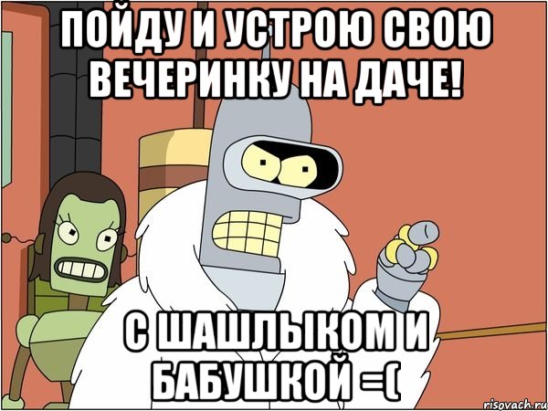 пойду и устрою свою вечеринку на даче! с шашлыком и бабушкой =(, Мем Бендер