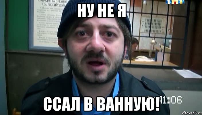 ну не я ссал в ванную!, Мем Бородач