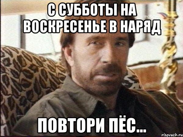 с субботы на воскресенье в наряд повтори пёс...