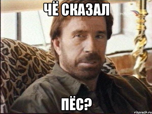чё сказал пёс?