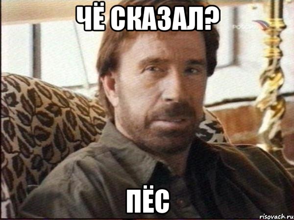 чё сказал? пёс