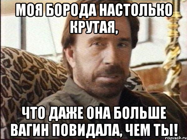 моя борода настолько крутая, что даже она больше вагин повидала, чем ты!