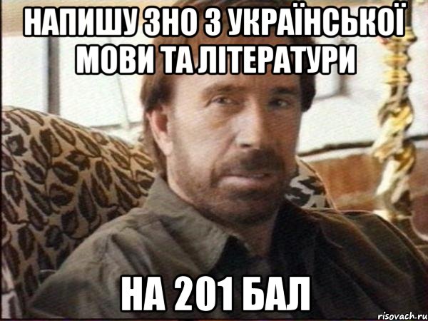 напишу зно з української мови та літератури на 201 бал