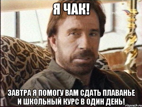 я чак! завтра я помогу вам сдать плаванье и школьный курс в один день!