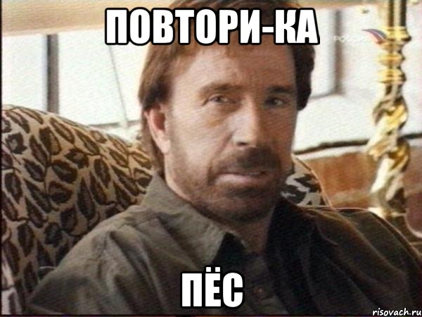 повтори-ка пёс