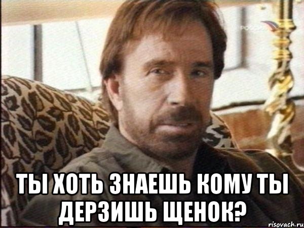  ты хоть знаешь кому ты дерзишь щенок?