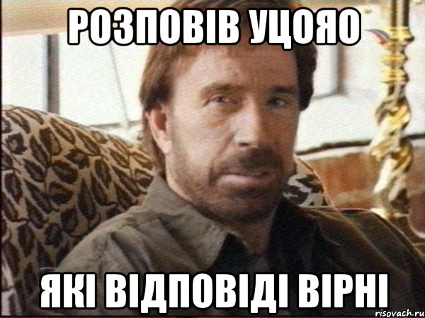 розповів уцояо які відповіді вірні