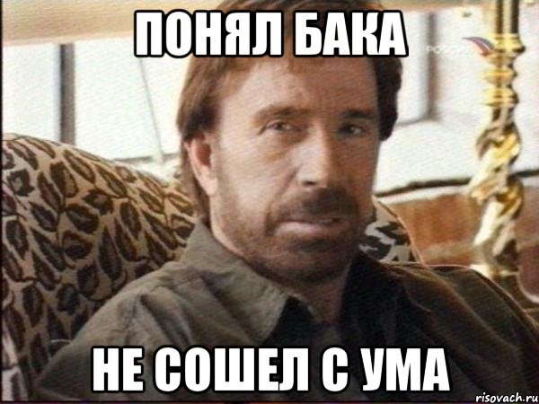 понял бака не сошел с ума