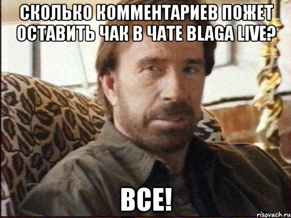 сколько комментариев пожет оставить чак в чате blaga live? все!