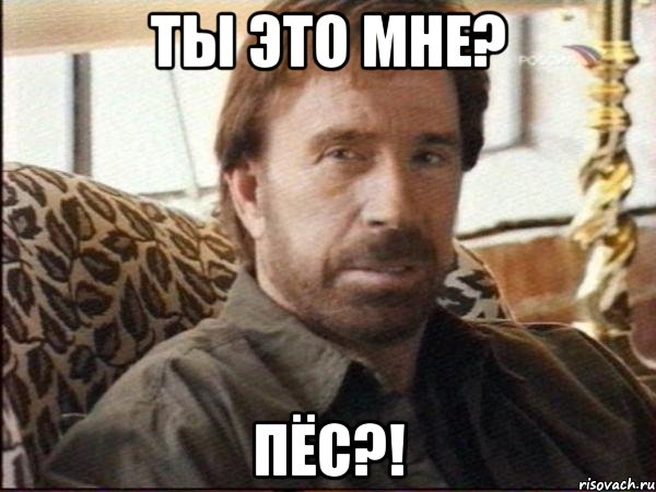 ты это мне? пёс?!