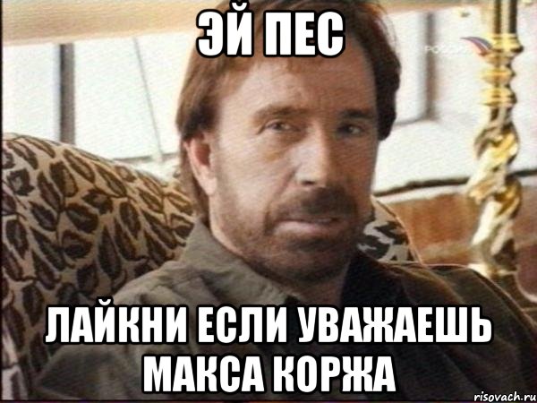 эй пес лайкни если уважаешь макса коржа