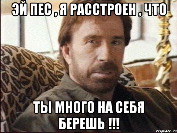 эй пес , я расстроен , что ты много на себя берешь !!!