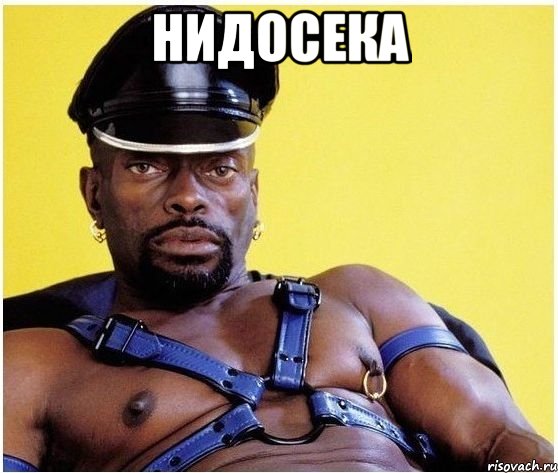 нидосека , Мем Черный властелин