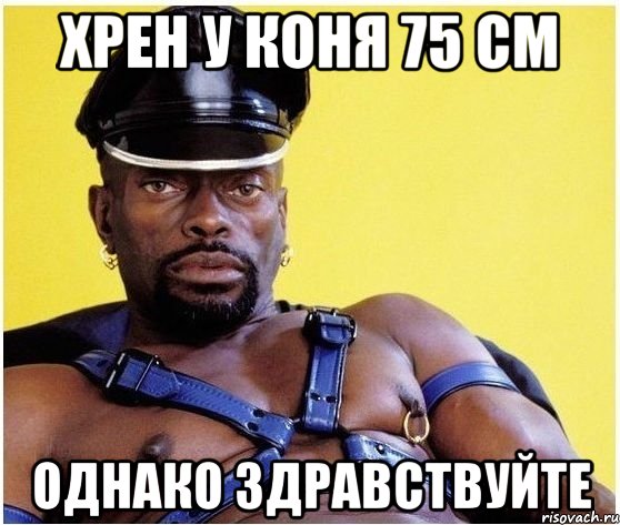 хрен у коня 75 см однако здравствуйте, Мем Черный властелин