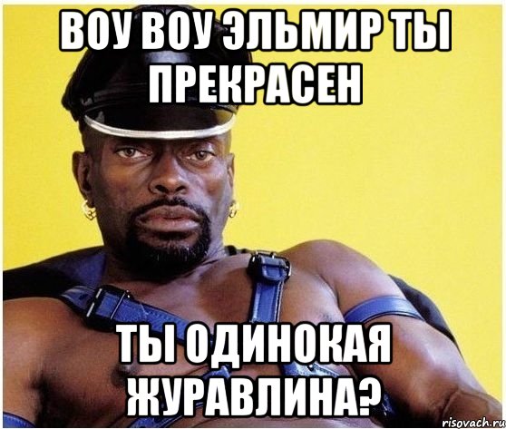 воу воу эльмир ты прекрасен ты одинокая журавлина?, Мем Черный властелин