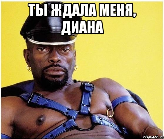 ты ждала меня, диана , Мем Черный властелин