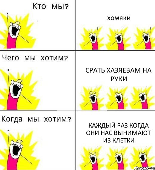 хомяки срать хазяевам на руки каждый раз когда они нас вынимают из клетки, Комикс Что мы хотим