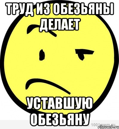 труд из обезьяны делает уставшую обезьяну, Мем Циник
