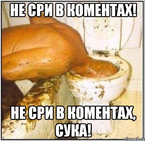 не сри в коментах! не сри в коментах, сука!, Мем Дайвер