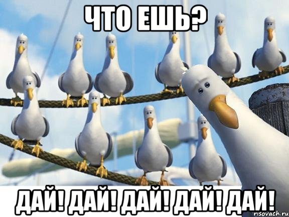 что ешь? дай! дай! дай! дай! дай!