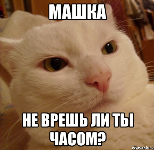 машка не врешь ли ты часом?, Мем Дерзкий котэ