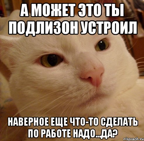 а может это ты подлизон устроил наверное еще что-то сделать по работе надо...да?, Мем Дерзкий котэ