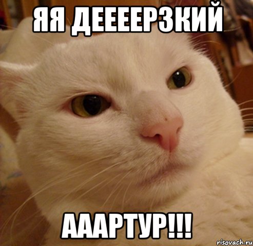 яя деееерзкий ааартур!!!, Мем Дерзкий котэ