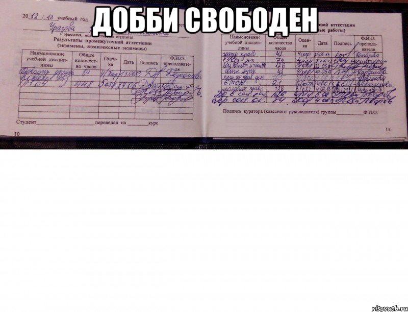 добби свободен , Мем добби свободен