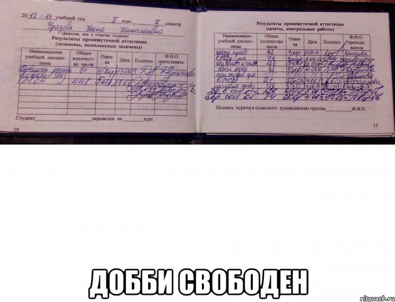  добби свободен, Мем добби свободен