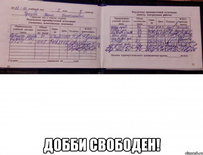  добби свободен!, Мем добби свободен