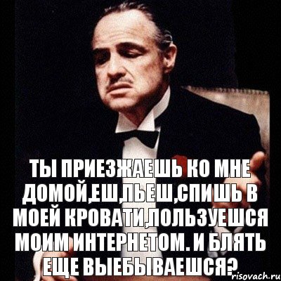 Ты приезжаешь ко мне домой,еш,пьеш,спишь в моей кровати,пользуешся моим интернетом. И БЛЯТЬ еще ВЫЕБЫВАЕШСЯ?, Комикс Дон Вито Корлеоне 1