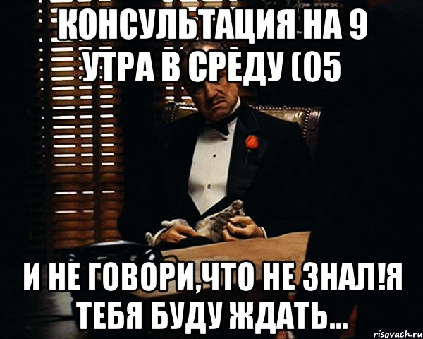 консультация на 9 утра в среду (05�62013) и не говори,что не знал!я тебя буду ждать..., Мем Дон Вито Корлеоне