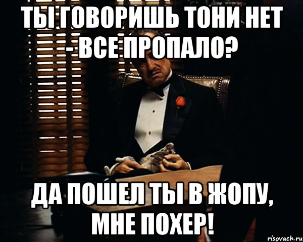 ты говоришь тони нет - все пропало? да пошел ты в жопу, мне похер!, Мем Дон Вито Корлеоне