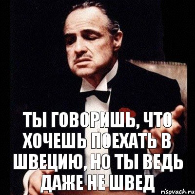 ты говоришь, что хочешь поехать в швецию, но ты ведь даже не швед