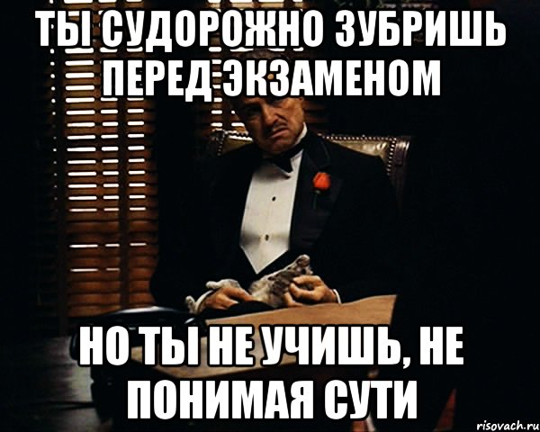 ты судорожно зубришь перед экзаменом но ты не учишь, не понимая сути, Мем Дон Вито Корлеоне