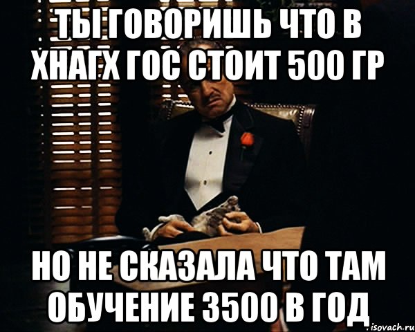 ты говоришь что в хнагх гос стоит 500 гр но не сказала что там обучение 3500 в год, Мем Дон Вито Корлеоне