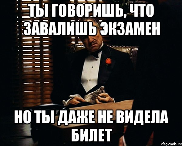 ты говоришь, что завалишь экзамен но ты даже не видела билет, Мем Дон Вито Корлеоне