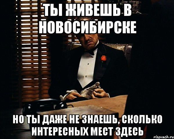 ты живешь в новосибирске но ты даже не знаешь, сколько интересных мест здесь, Мем Дон Вито Корлеоне